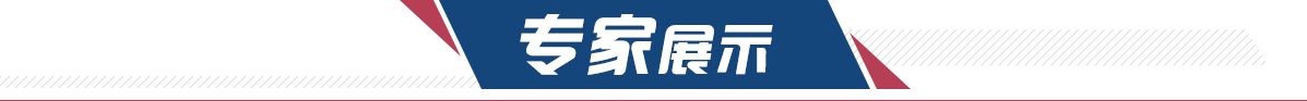 专家展示